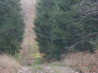 Autour des Ecuries du Haut Languedoc